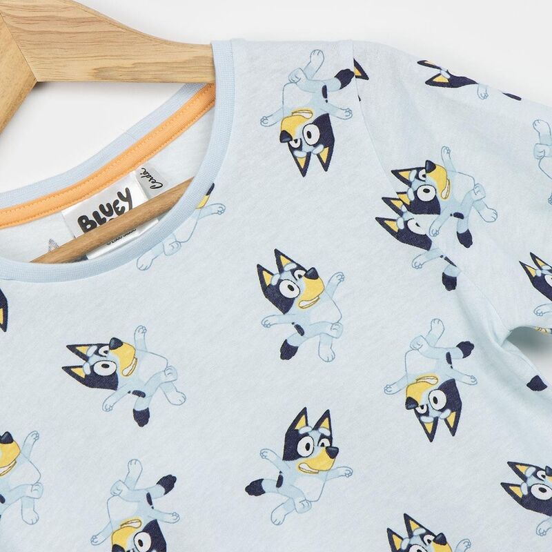 Bluey Set