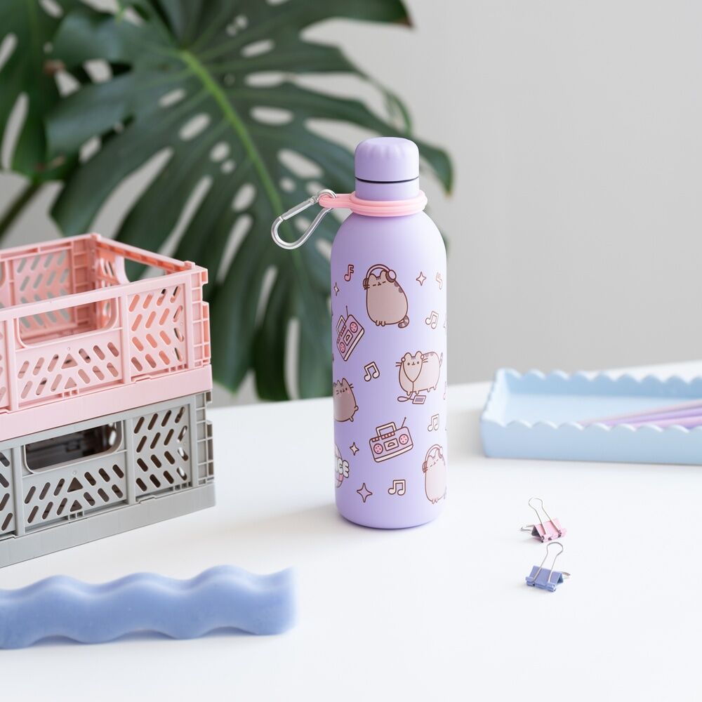 Bottiglia in acciaio inox da 500 ml di Pusheen Moments