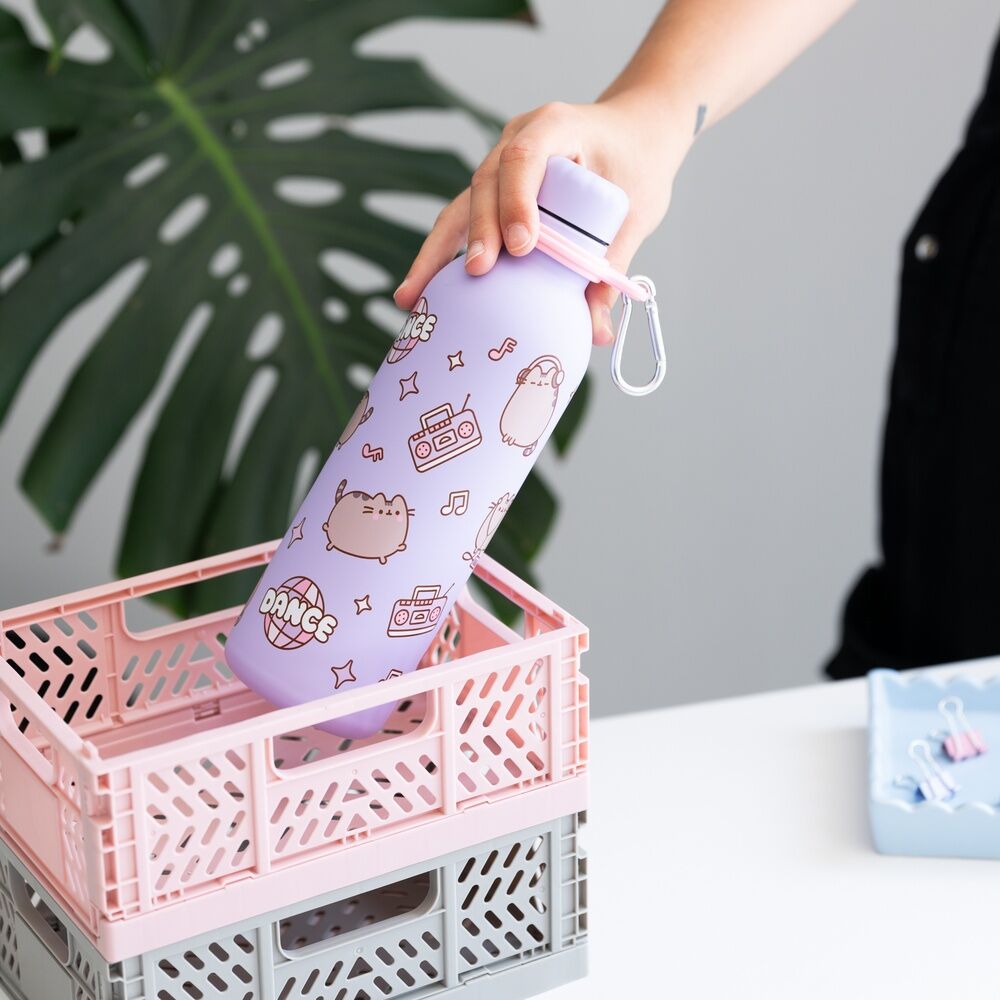Bottiglia in acciaio inox da 500 ml di Pusheen Moments
