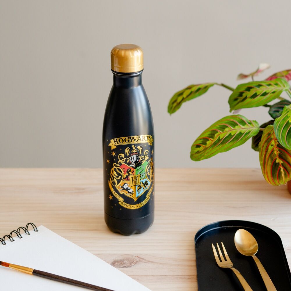 Garrafa de aço inoxidável Hogwarts Harry Potter 500ml