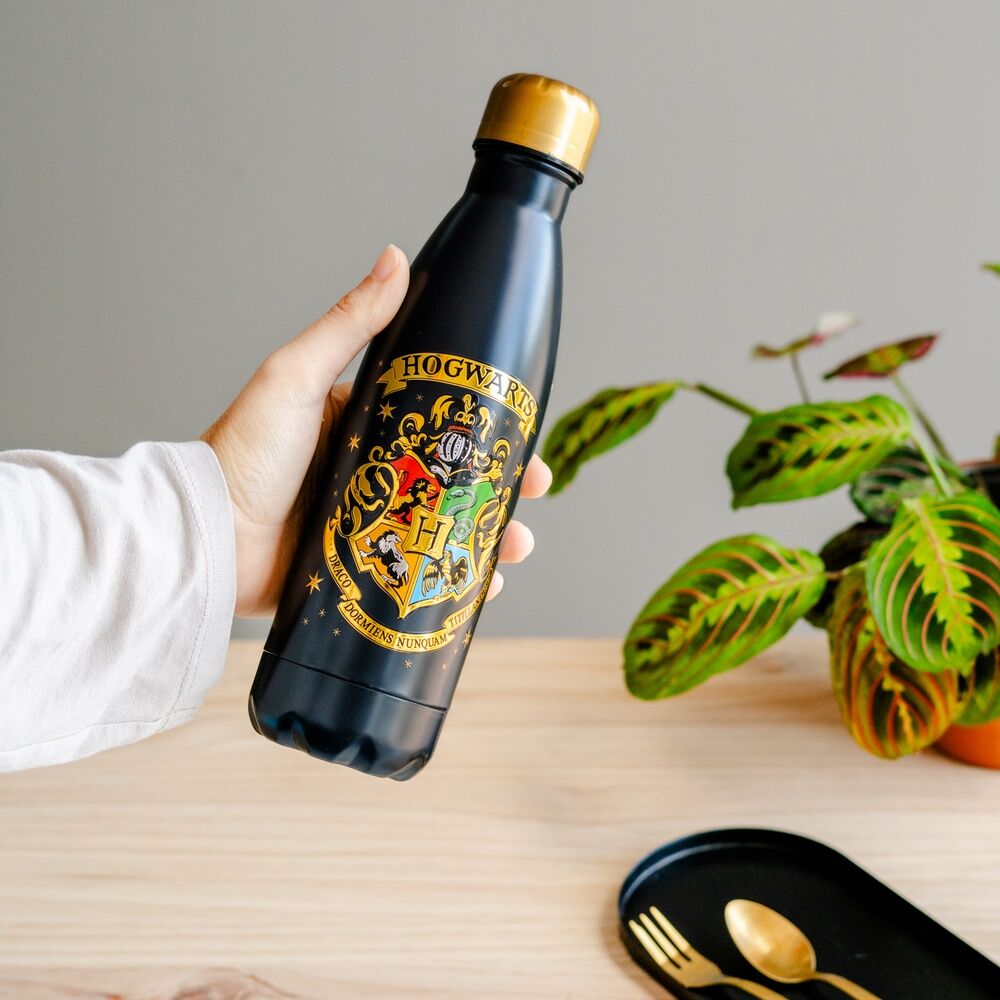 Garrafa de aço inoxidável Hogwarts Harry Potter 500ml