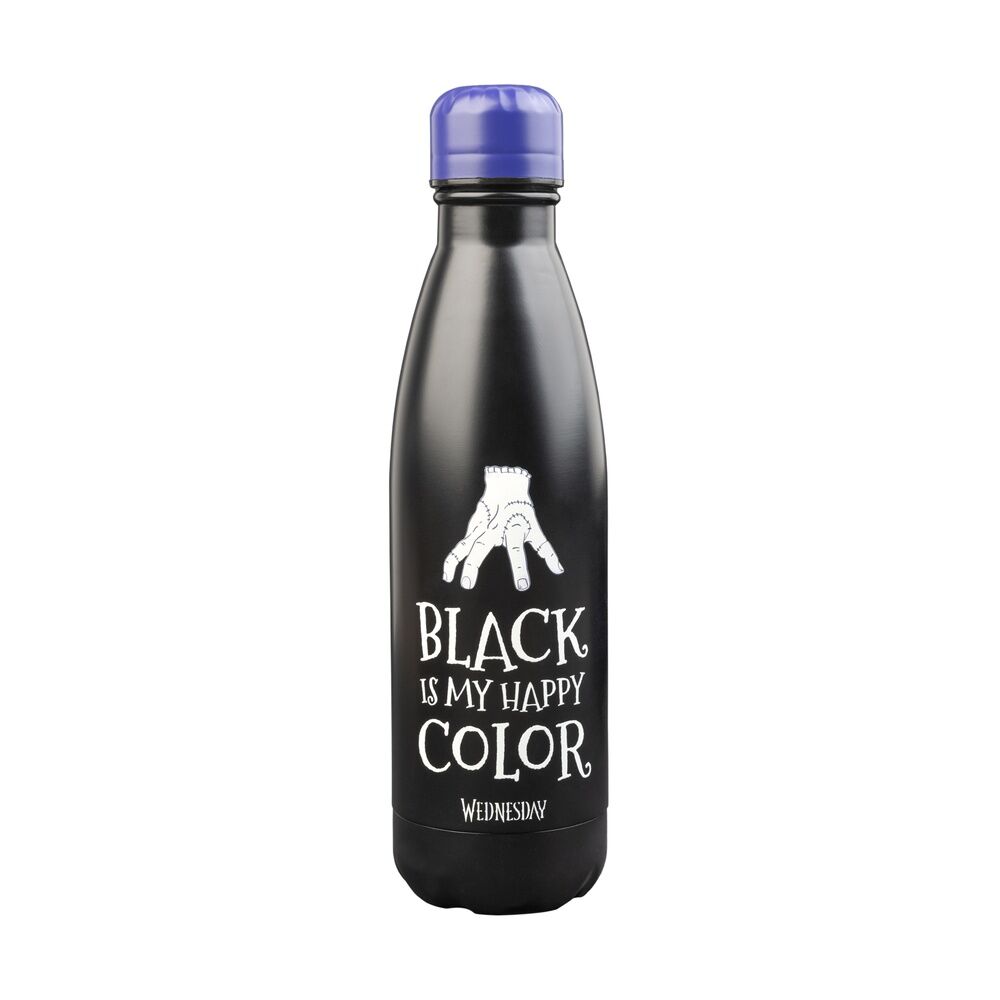Stainless steel bottle Wednesday 500ml