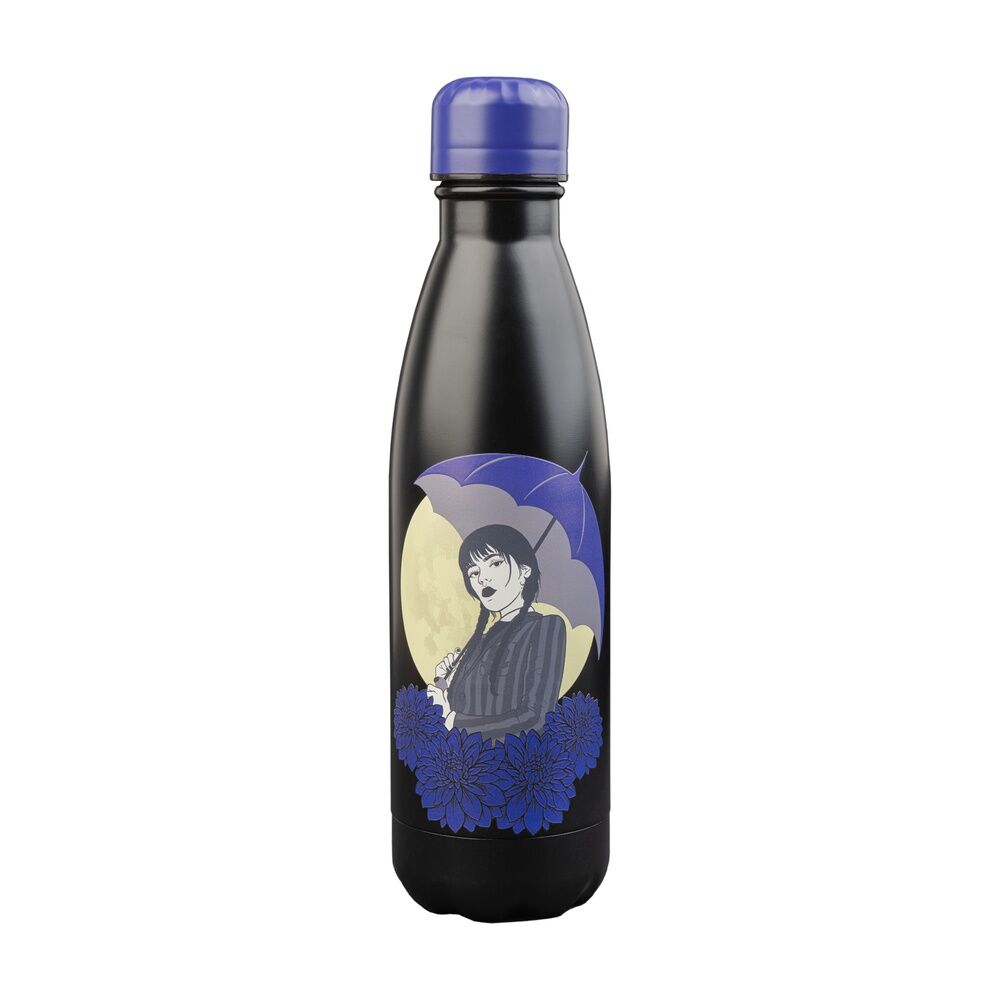 stainless steel bottle wednesday 500ml
