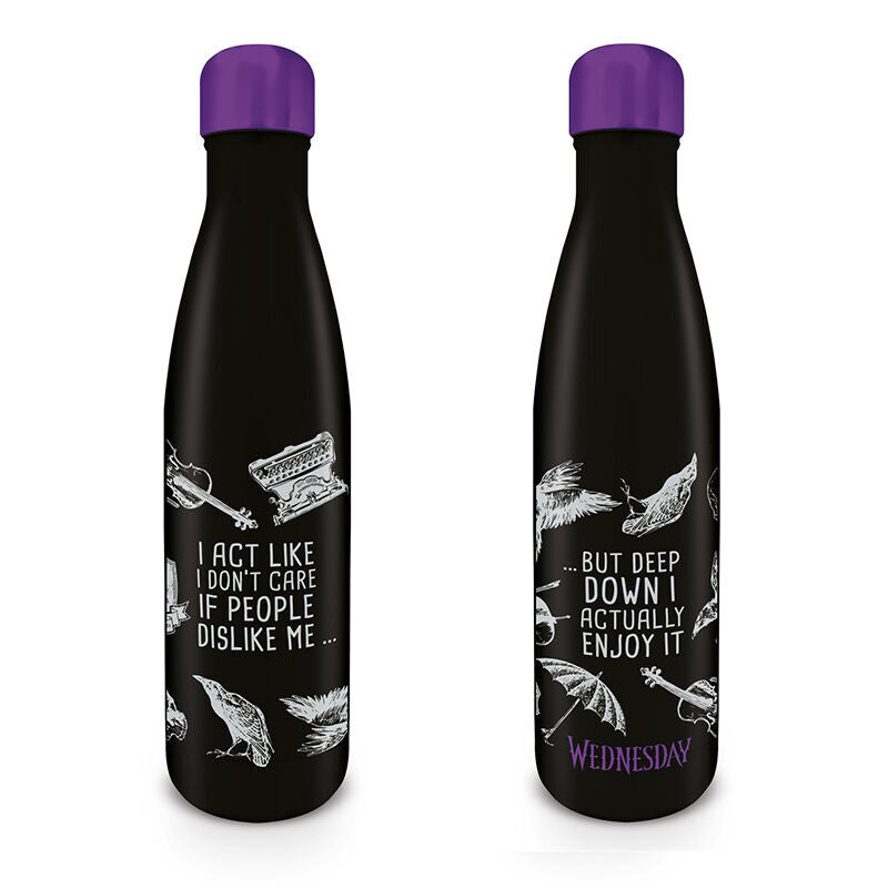 stainless steel bottle wednesday 540ml