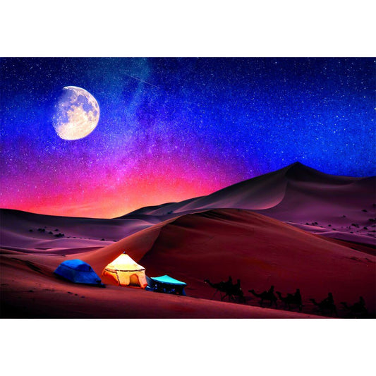 Starry Night Dream Puzzle 500pcs