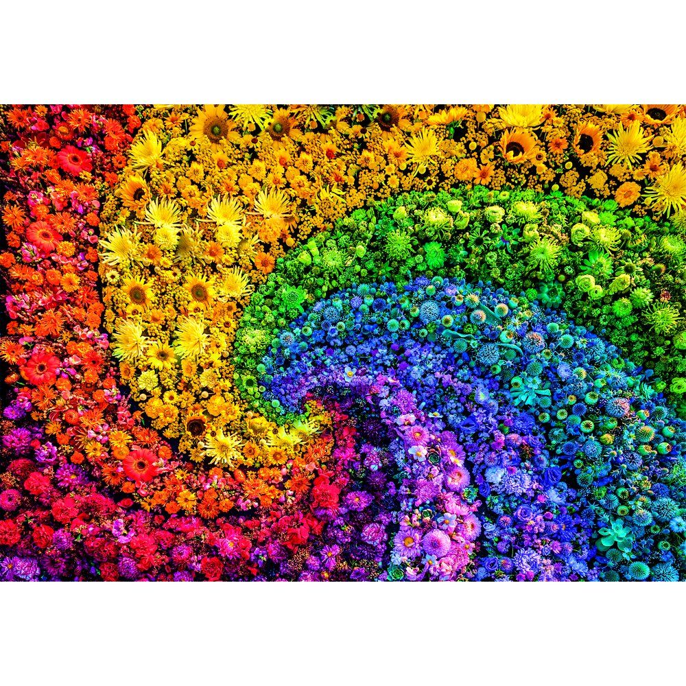Whirl Color Boom Puzzle 1000pcs