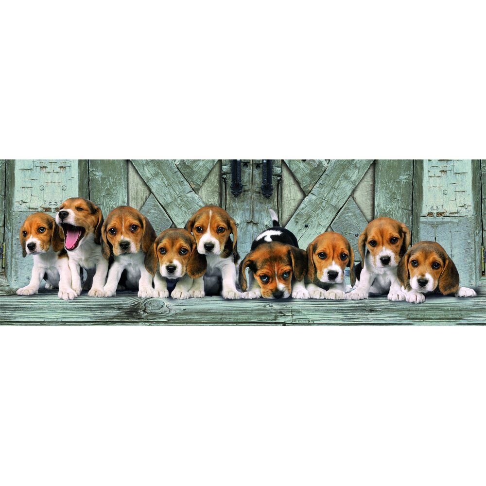 Puzzle Panorama Beagles High Quality 1000 pieces