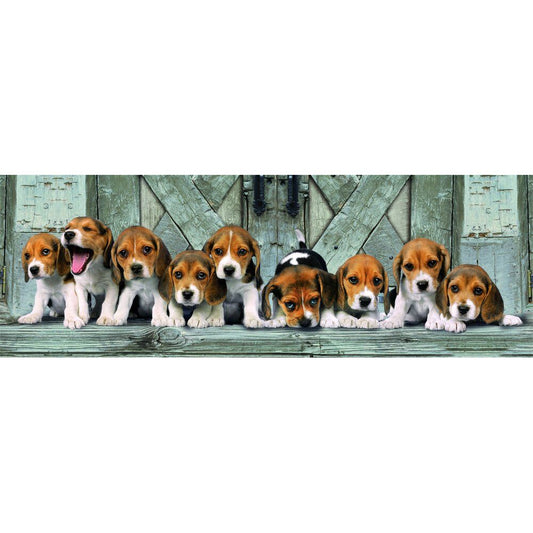 Puzzle Panorama Beagles High Quality 1000 pieces
