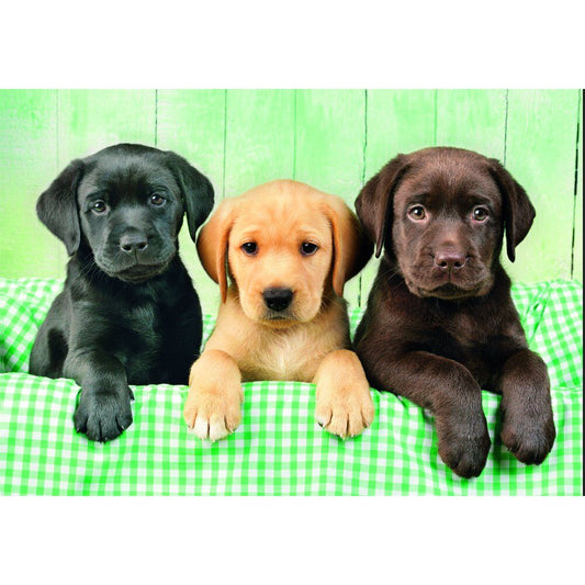 Puzzle Three Labs High Quality 1000 pieces