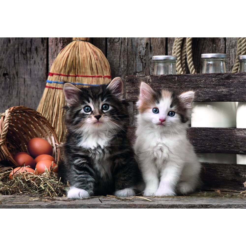 Puzzle Lovely Kittens High Quality 1000 pieces