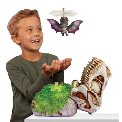 Flying Dino GrossMos Assortment