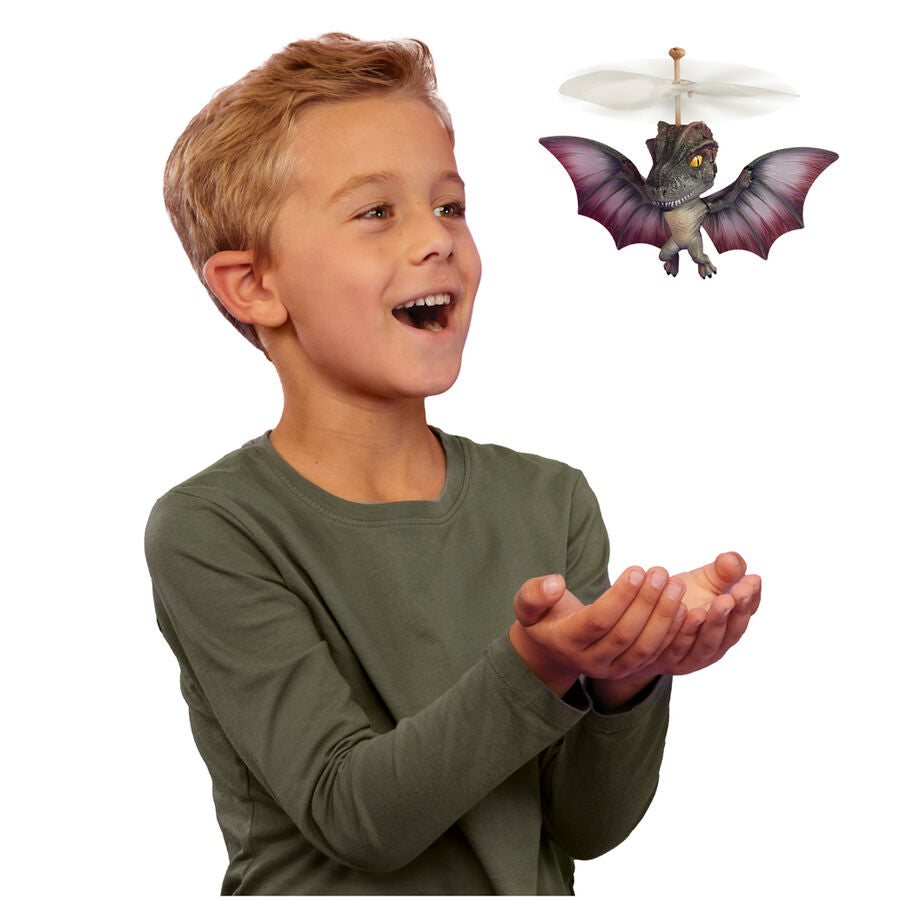 Flying Dino GrossMos Assortment
