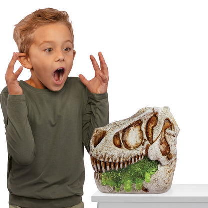 Flying Dino GrossMos Assortment