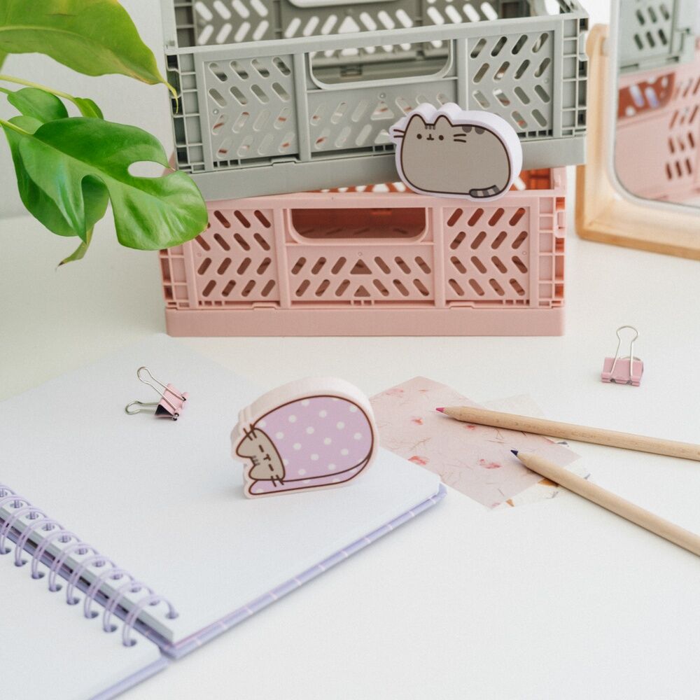 Pusheen 2 pack blister pack