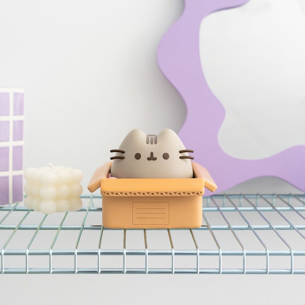 Tirelire Pusheen