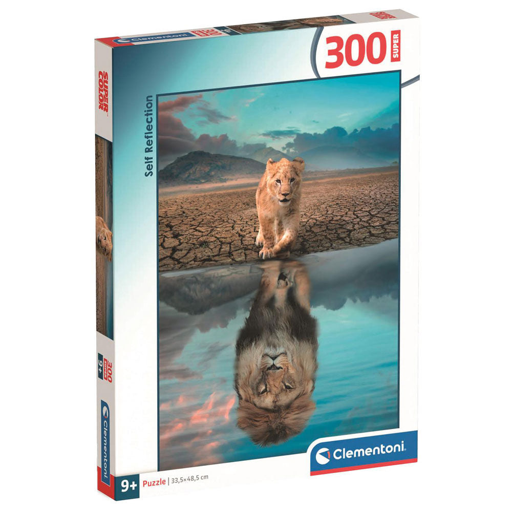 super self reflection puzzle 300 pieces