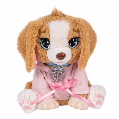 Spa de belleza para mascotas