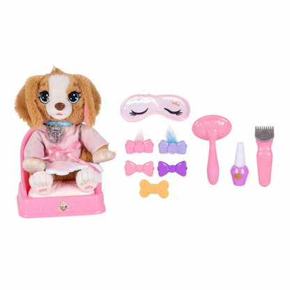 Spa de belleza para mascotas