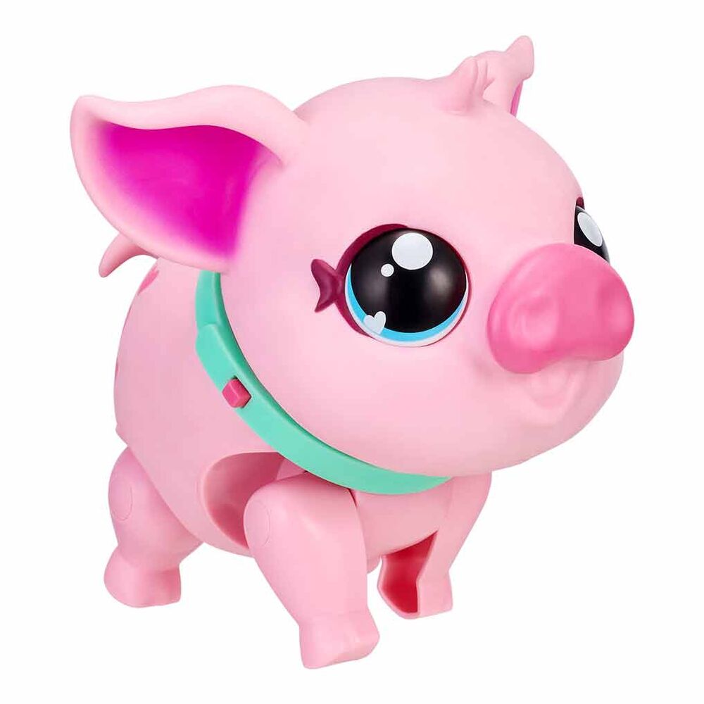 My Little Live Pet Pig