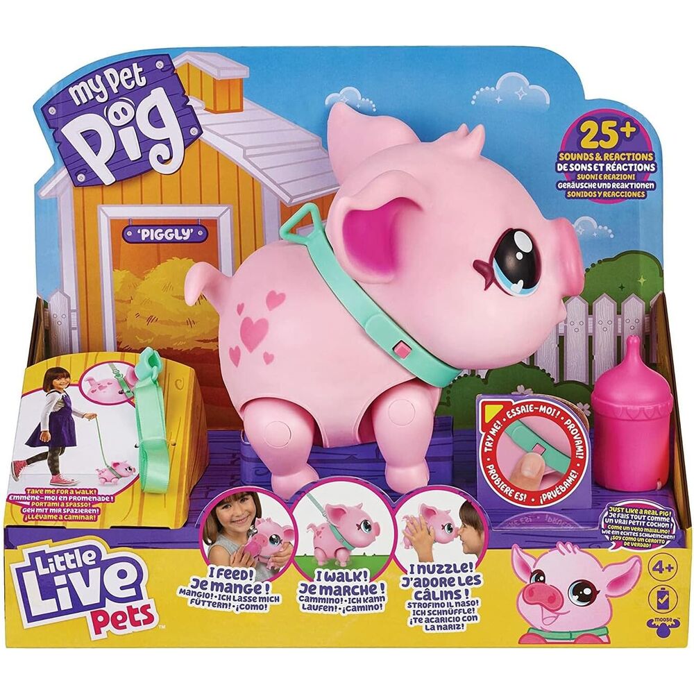 my little live pet pig