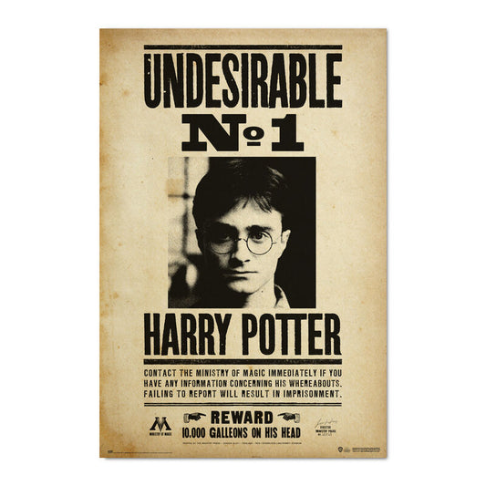 Undesirable Poster Number 1 Harry Potter