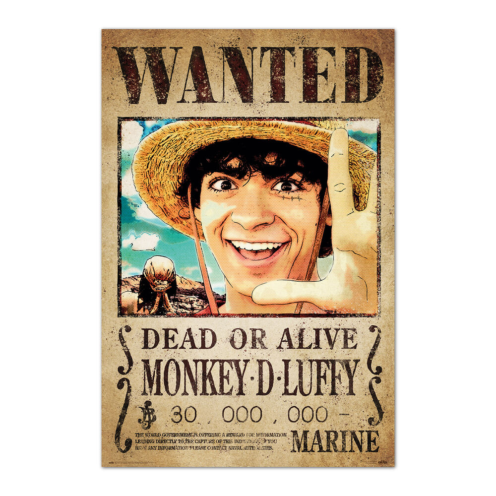 wanted poster monkey d luffy one piece