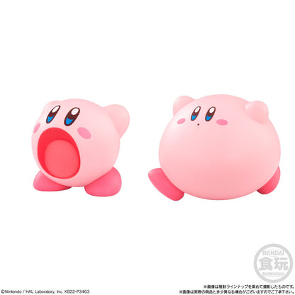 Kirby Friends Figure Assortment