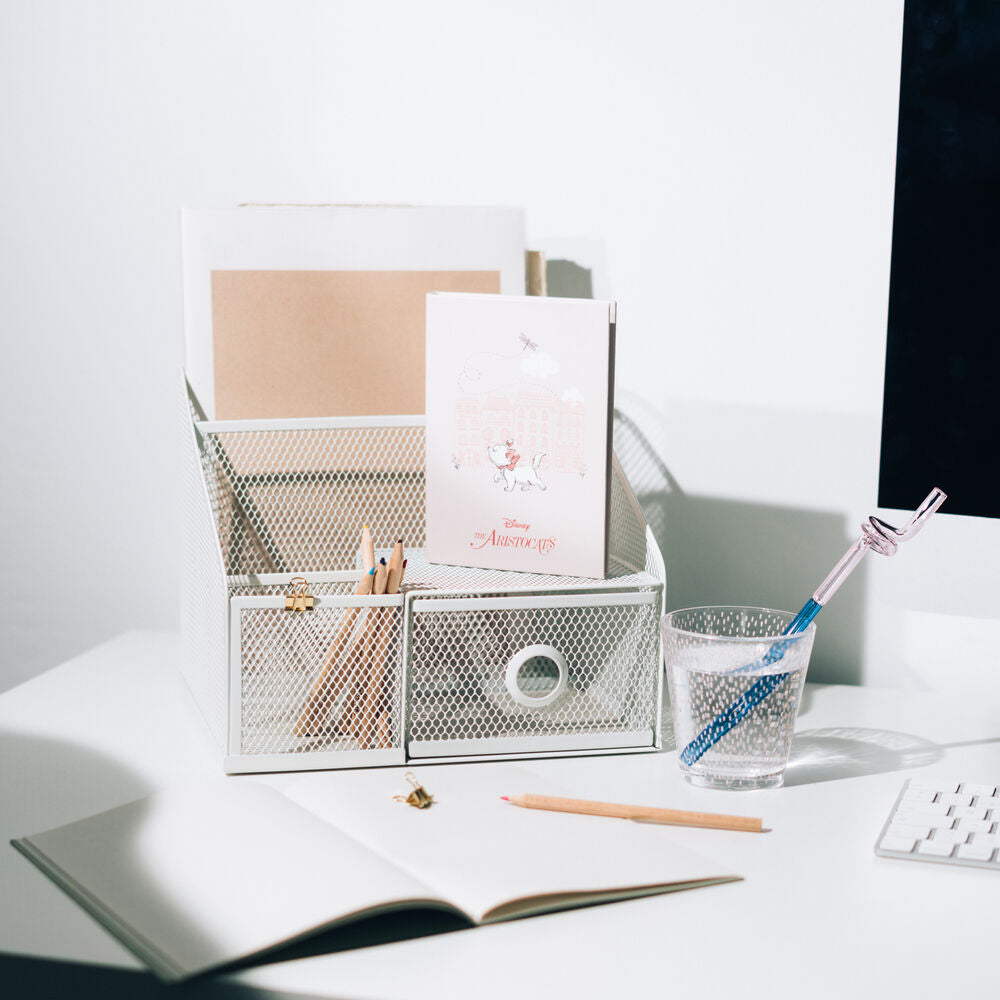 A6 notebook with sticky notes, Bonjour Marie, The Aristocats Disney