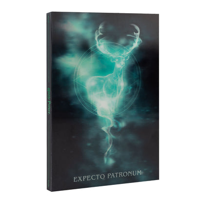 harry potter lenticular a5 notebook