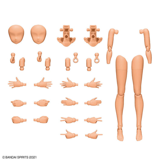 Set di parti del corpo: braccia e gambe 30 MS colore C