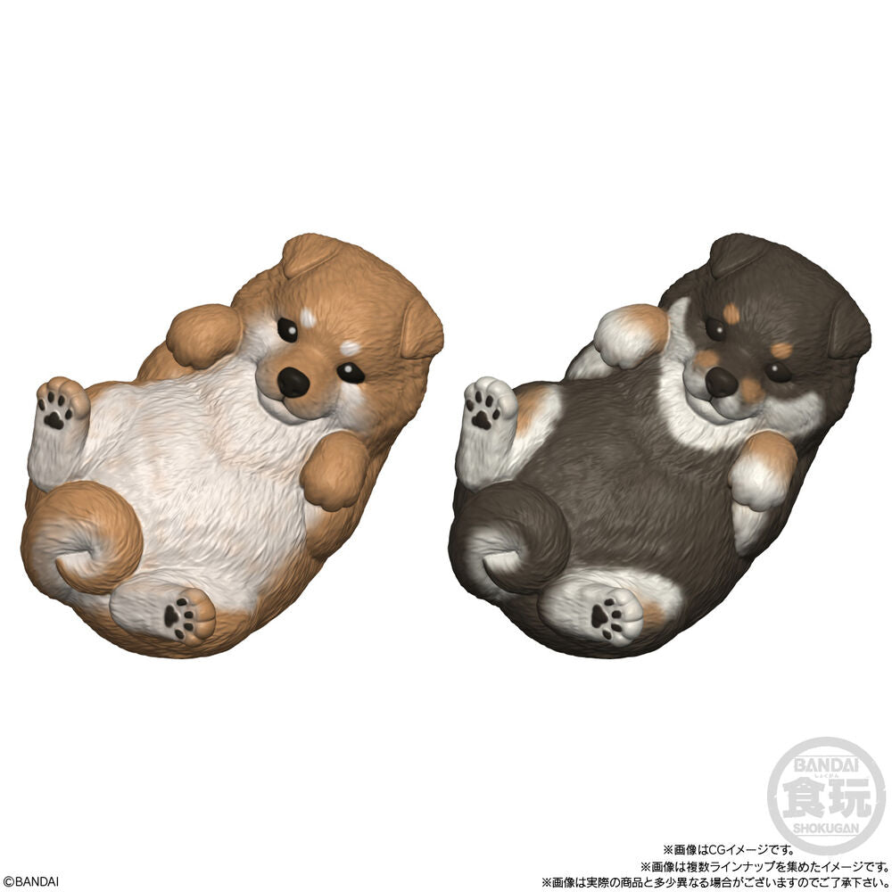 Mocchiri Kororin Dogs Assorted Figure
