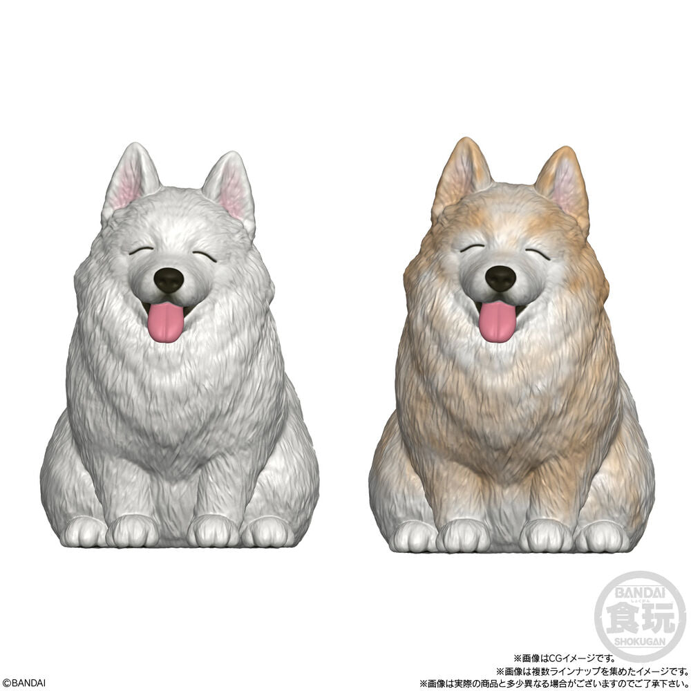 Mocchiri Kororin Dogs Assorted Figure