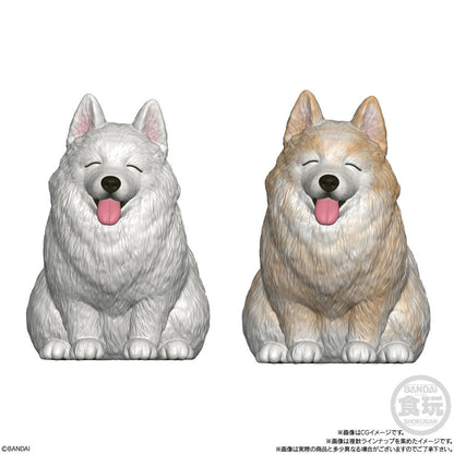 Mocchiri Kororin Dogs Assorted Figure
