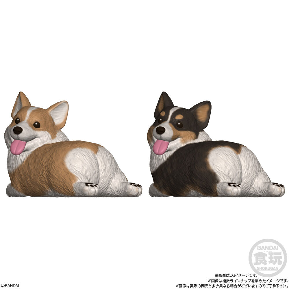 Mocchiri Kororin Dogs Assorted Figure