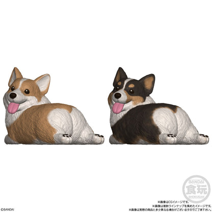 Mocchiri Kororin Dogs Assorted Figure