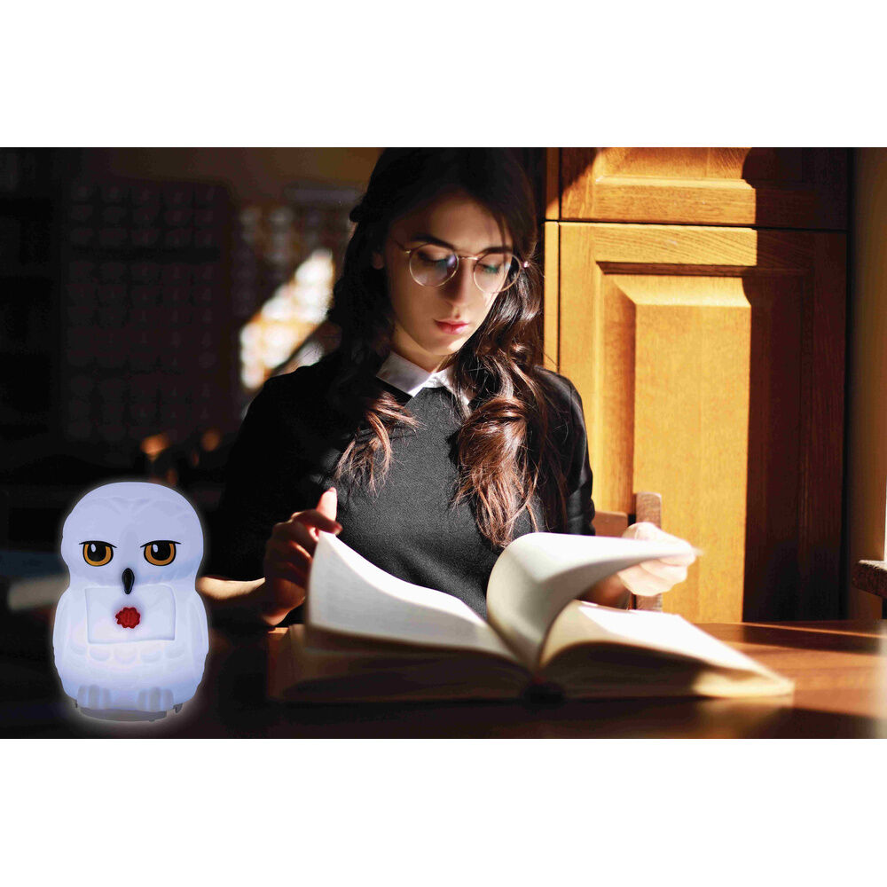 3D Night Light Hedwig Harry Potter