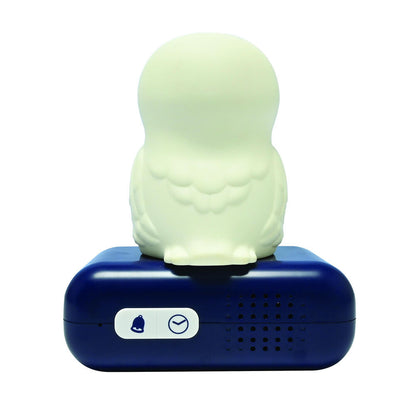 3D Hedwig Harry Potter Night Light Alarm Clock