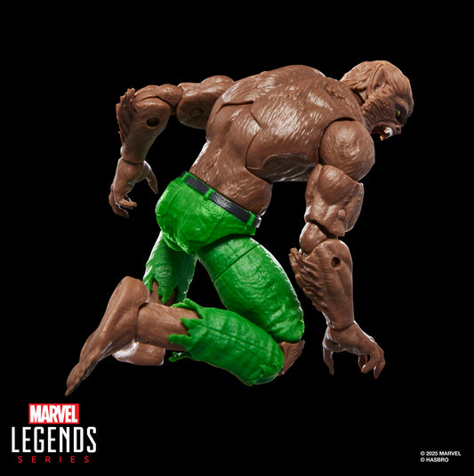 Action figure di Werewolf By Night della serie Marvel Legends alta 15 cm