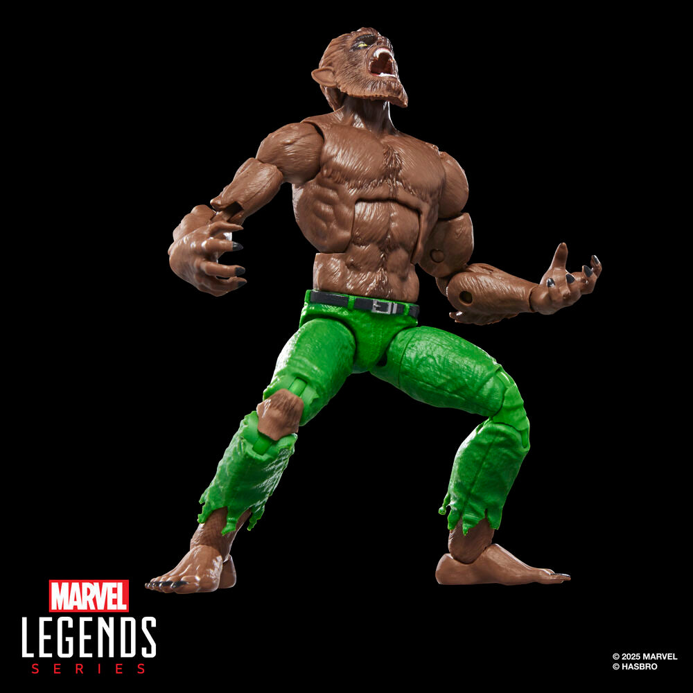 Figurine Loup garou de la nuit Marvel Legends Series 15 cm