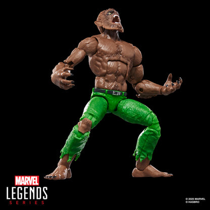 Figurine Loup garou de la nuit Marvel Legends Series 15 cm