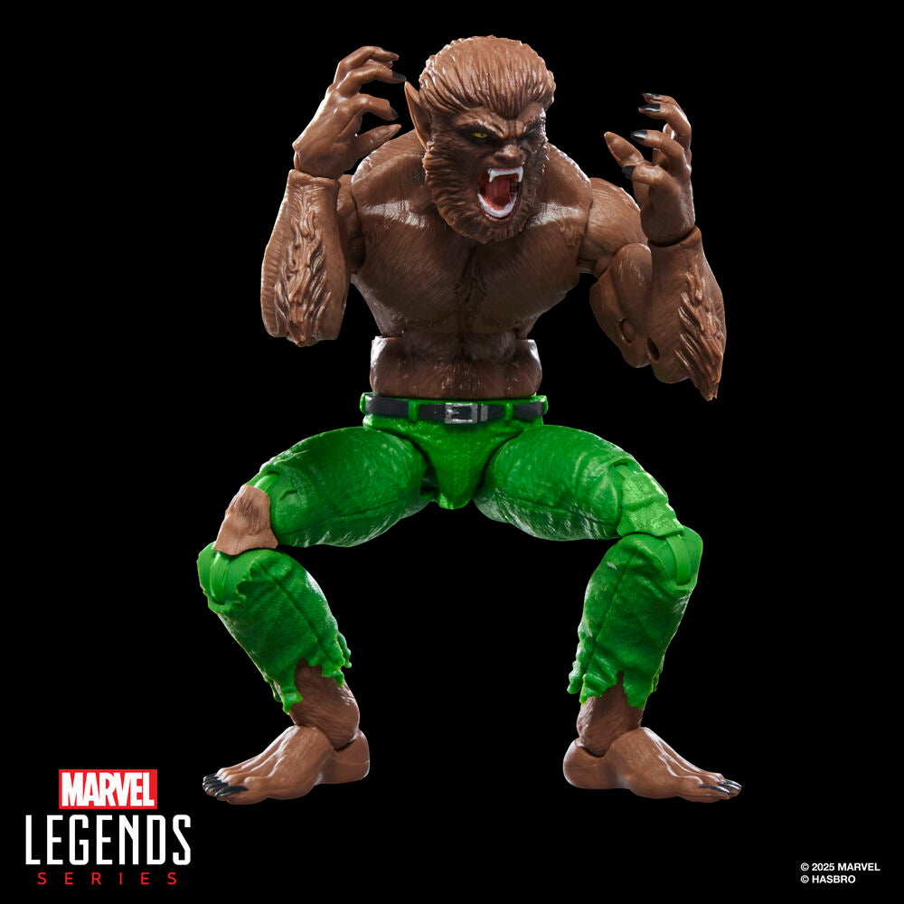 Figurine Loup garou de la nuit Marvel Legends Series 15 cm