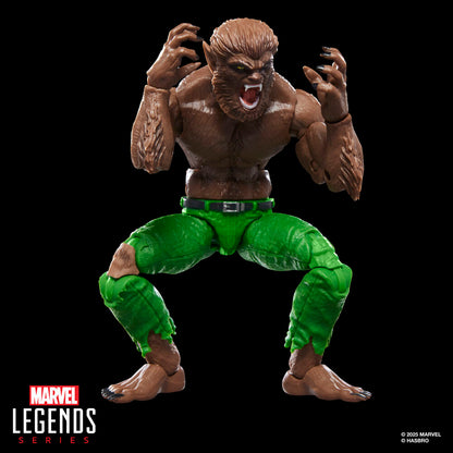 Figurine Loup garou de la nuit Marvel Legends Series 15 cm