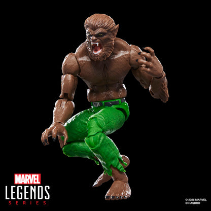 Figurine Loup garou de la nuit Marvel Legends Series 15 cm