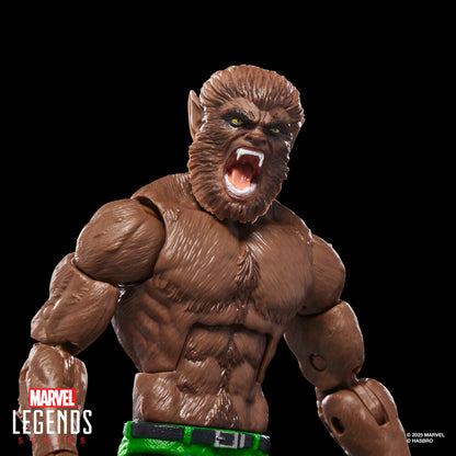 Figurine Loup garou de la nuit Marvel Legends Series 15 cm