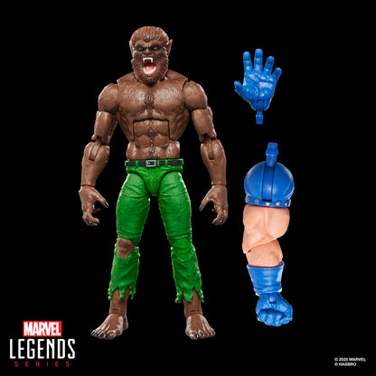 Figurine Loup garou de la nuit Marvel Legends Series 15 cm