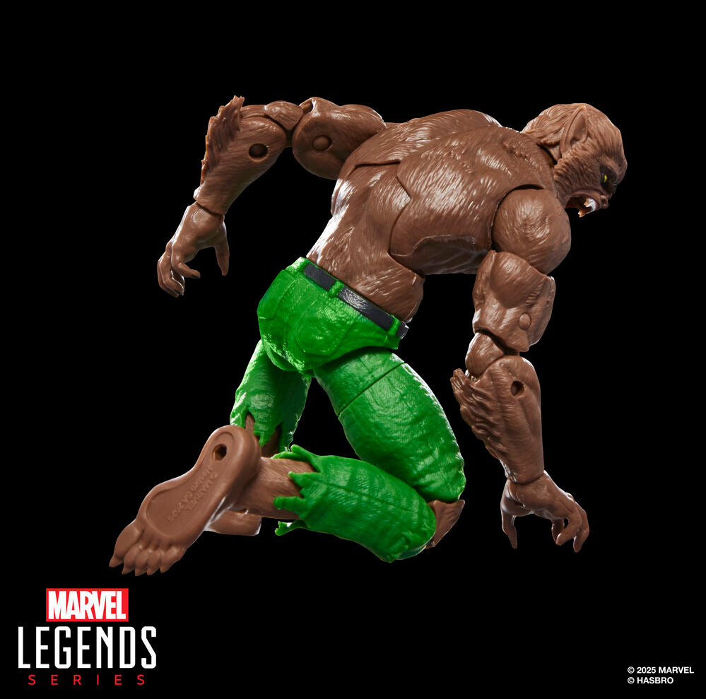 Figurine Loup garou de la nuit Marvel Legends Series 15 cm