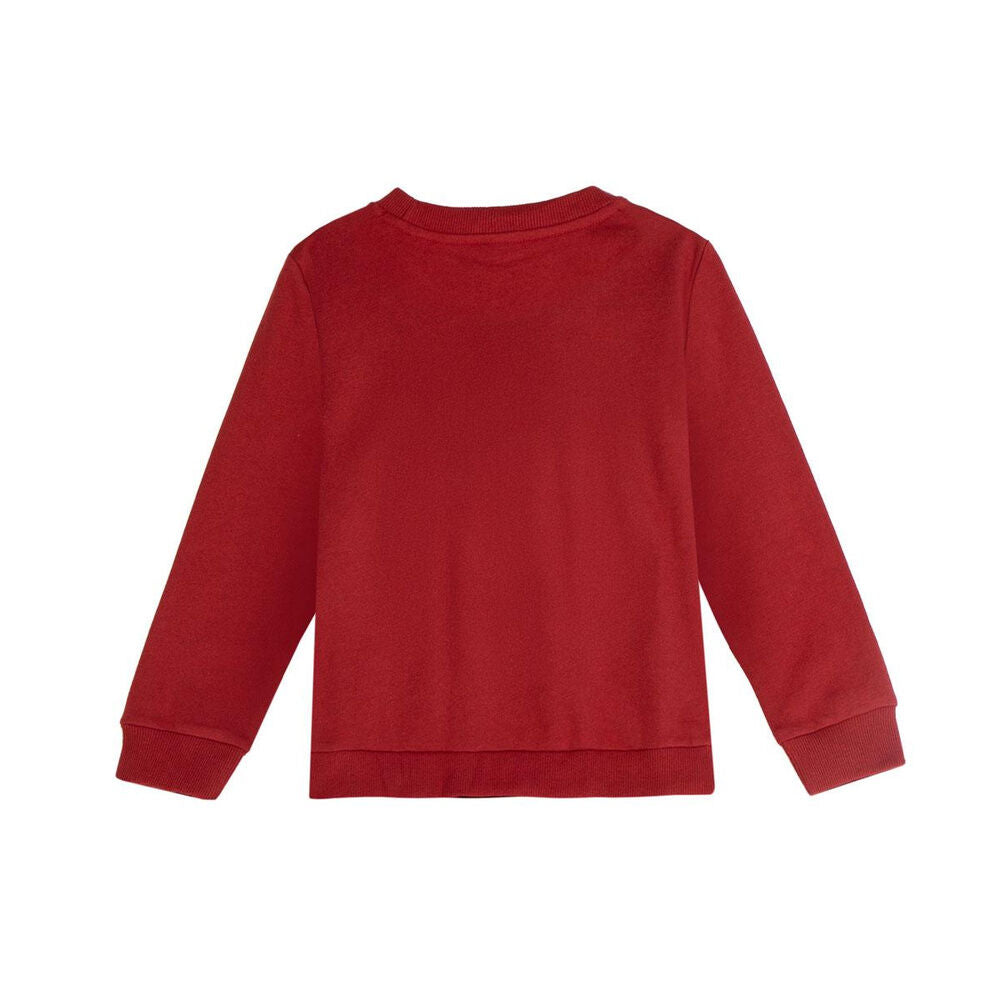 Hot Wheels sweatshirt