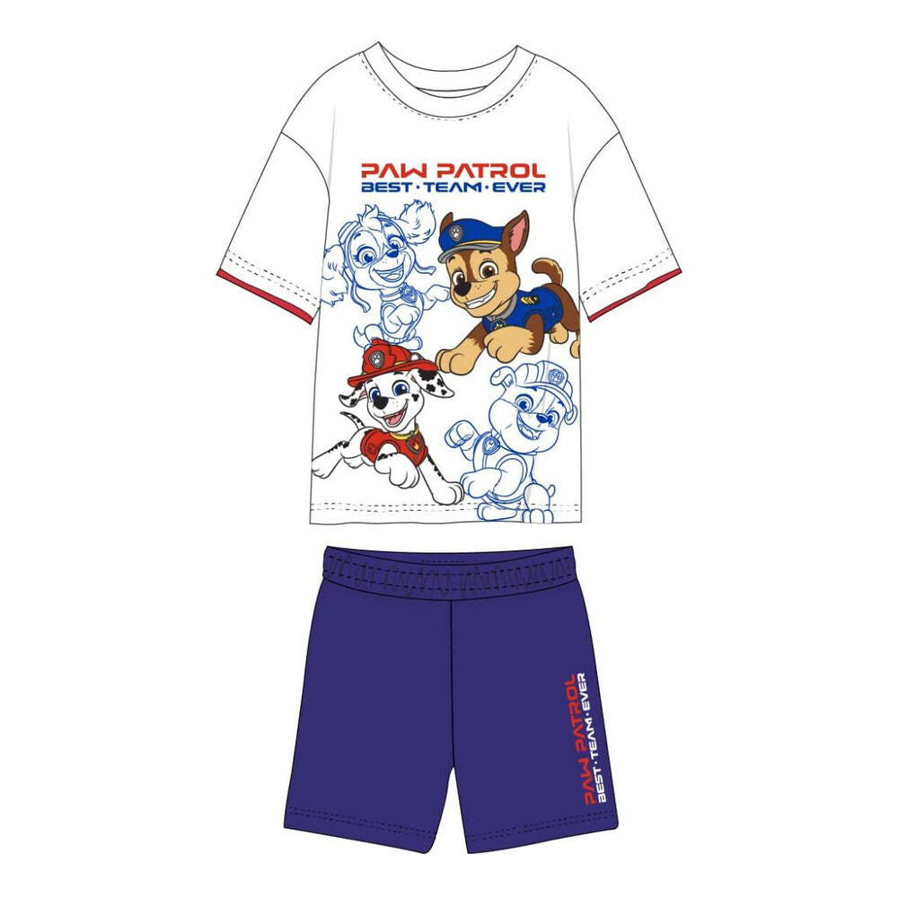 paw patrol set