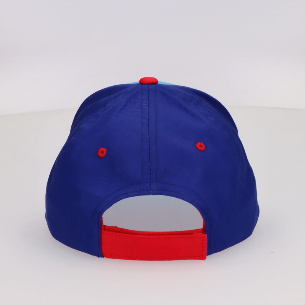 Paw Patrol Cap Assortment