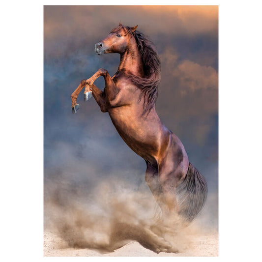 Horse Puzzle 500pcs